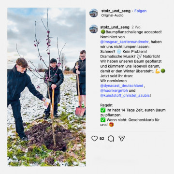 Baumpflanze-Challenge